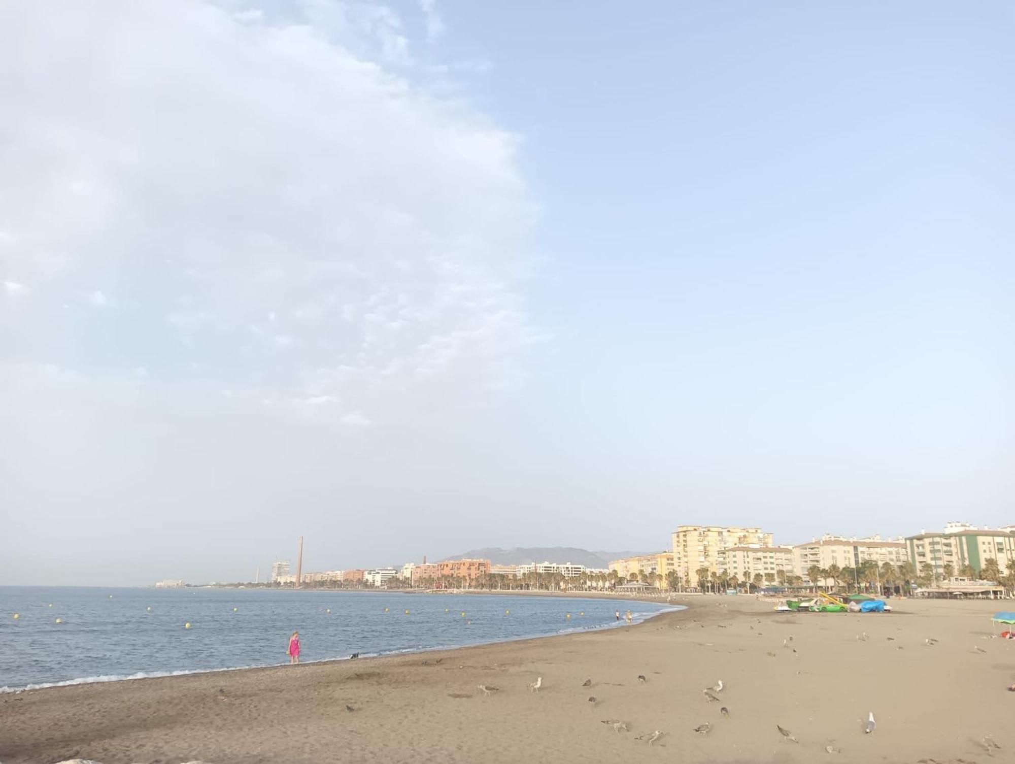 Holidays2Malaga Montesa 700M From The Beach Rooftop Terrace エクステリア 写真
